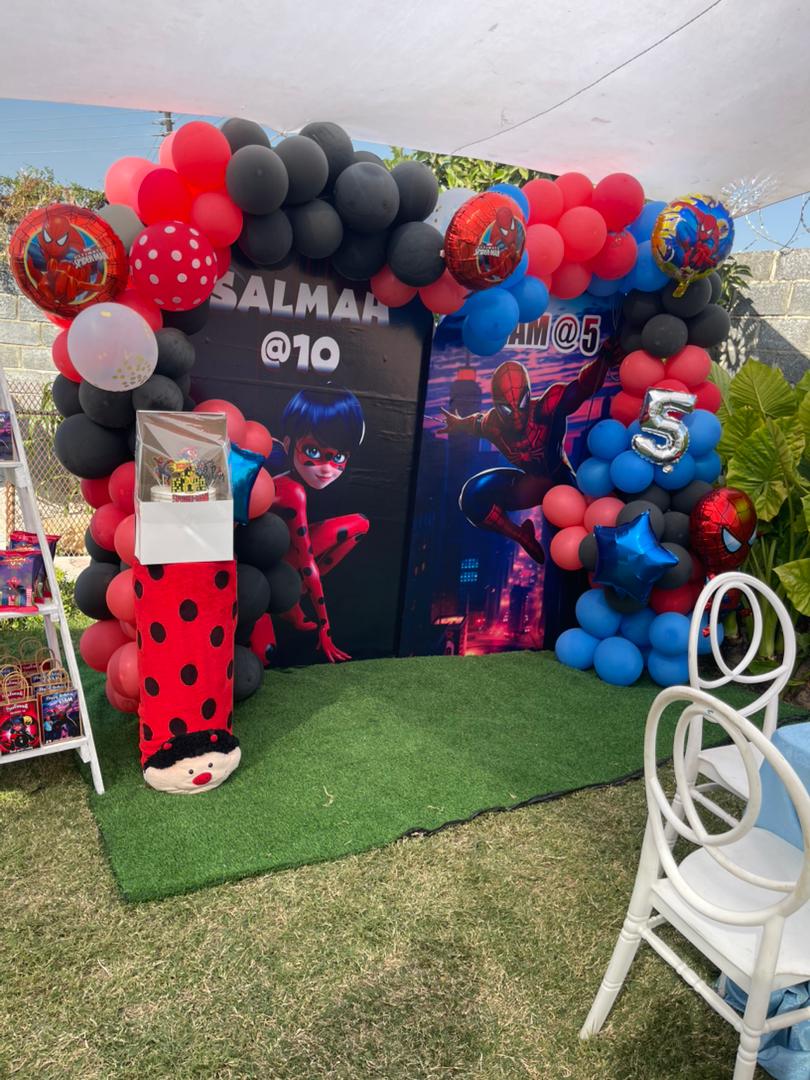 Kids’ Birthday Party – Spider & Ladybug Theme